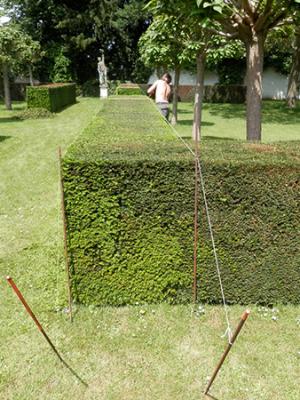 Entretien de jardin à Courcelles Entretien de jardin à Courcelles